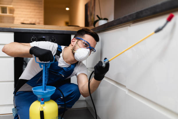 Professional Pest Control in Framingham, MA