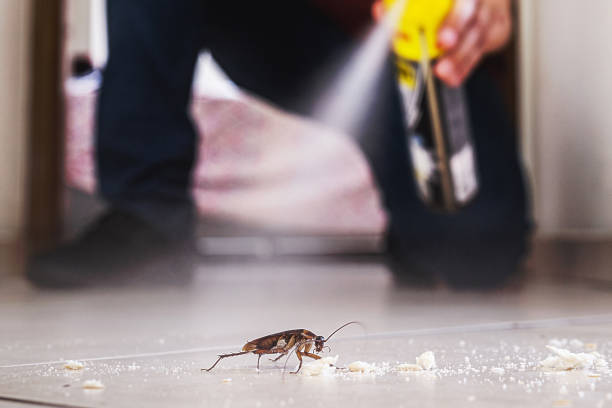 Best Cockroach Control Services  in Framingham, MA