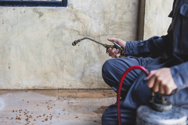 Best Affordable Pest Control Services  in Framingham, MA